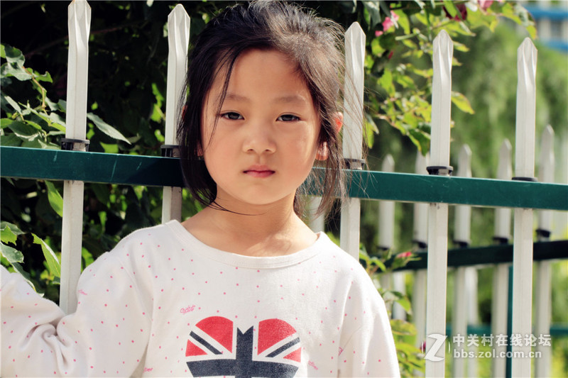 适马50-500试镜瞎拍