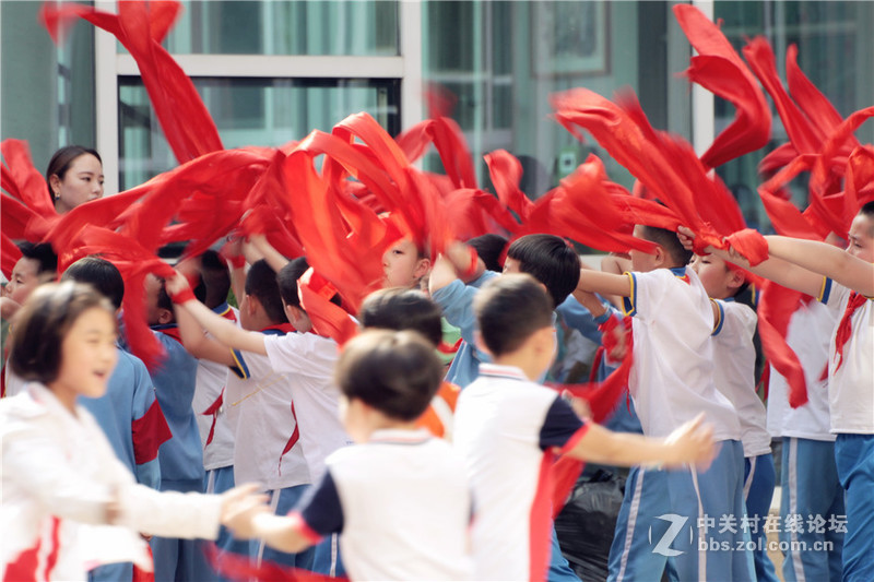 适马50-500试镜瞎拍