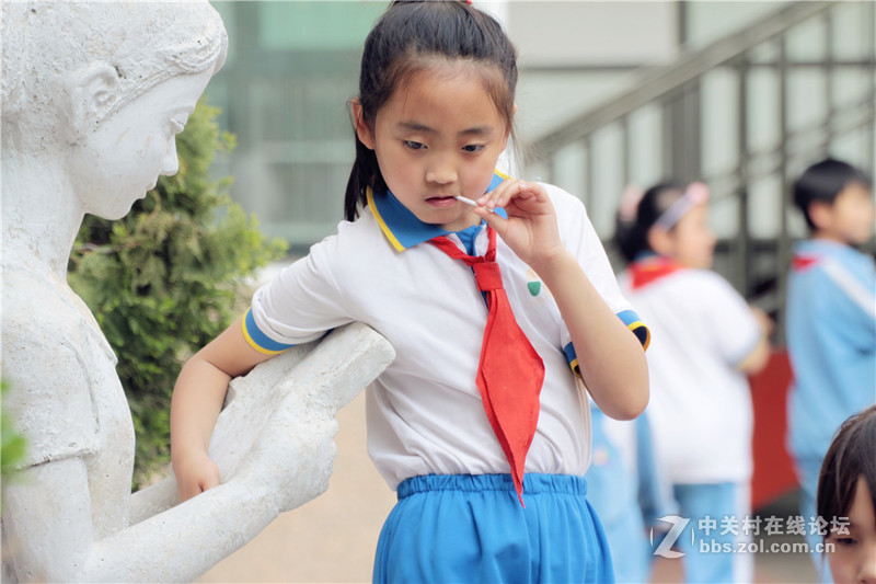 适马50-500试镜瞎拍