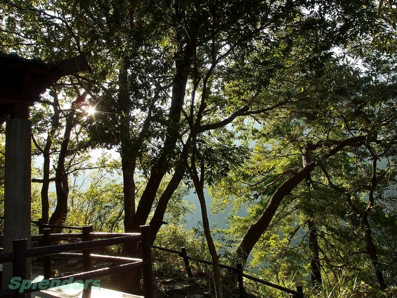 清晨山林步道  (與陽光槓上, 蓝天 + 绿林, 通通打包)