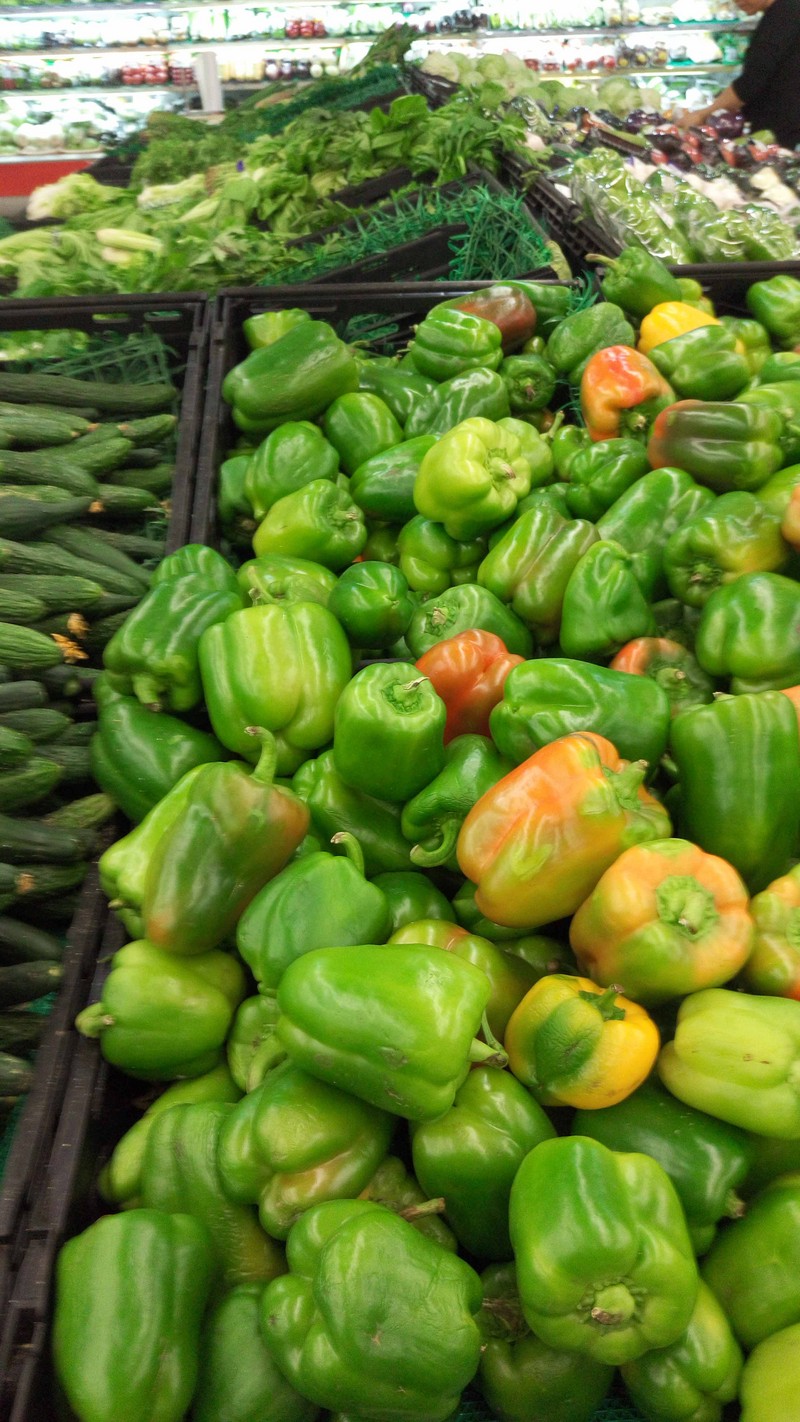 #魅族MX5试用#梦想诚品之作，理想照进现实之魅族MX5试用—拍照体验