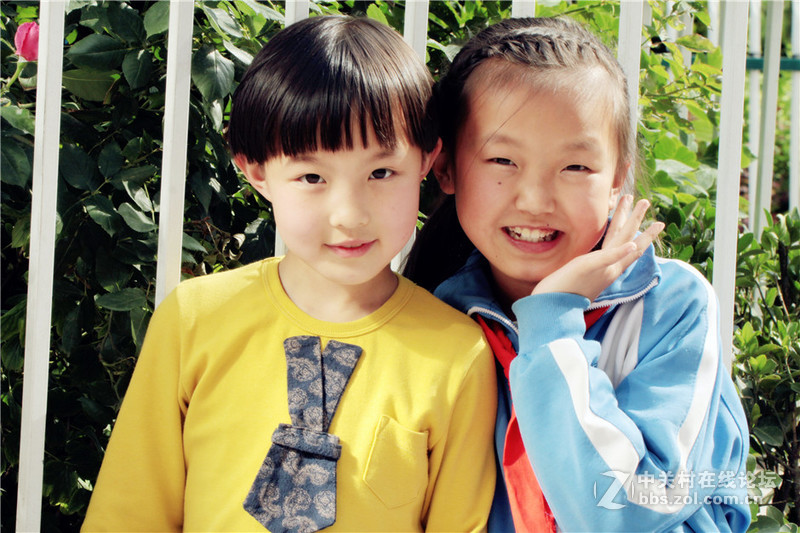 适马50-500试镜瞎拍