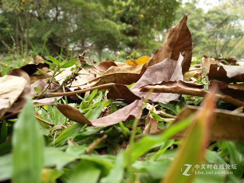 一加手机2(开箱)，让质感变为现实！