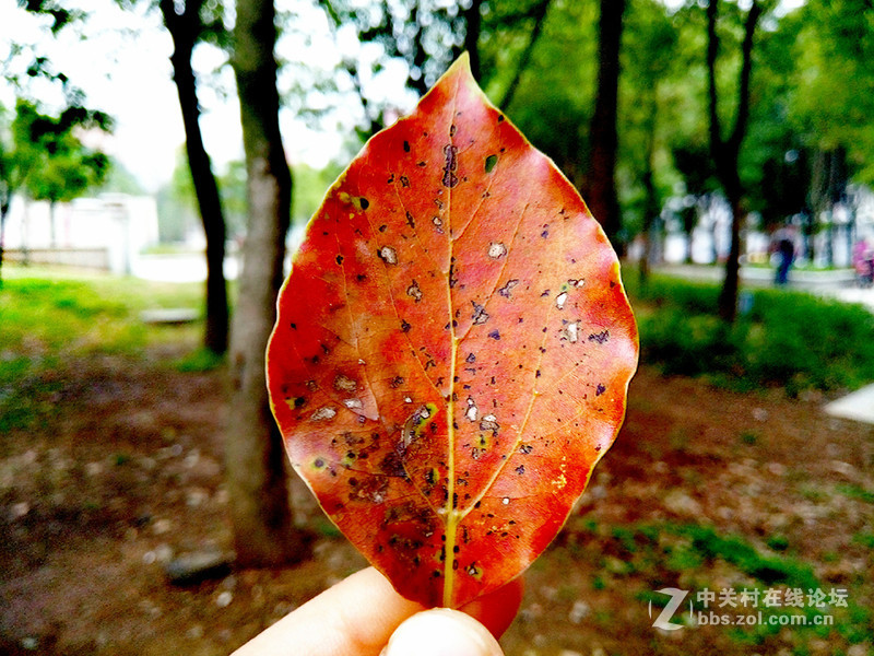 ＃魅蓝5S试用＃一见钟情 魅蓝5S使用初体验