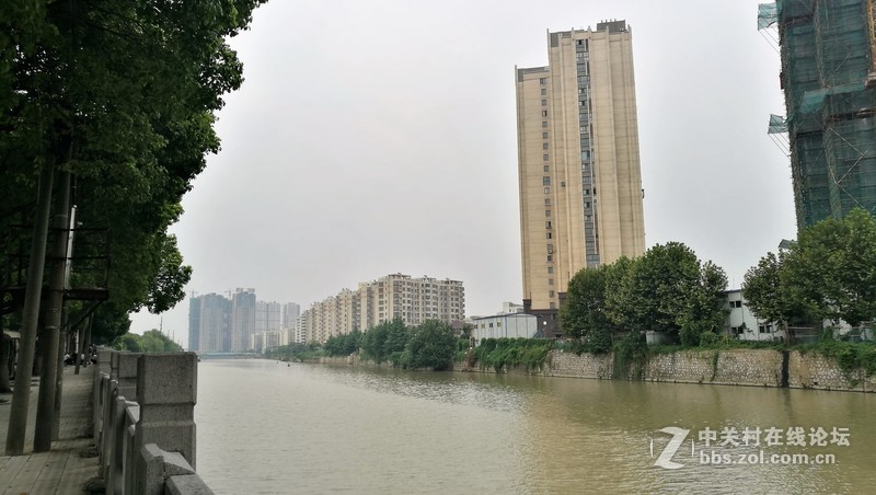 春分公园看荷花