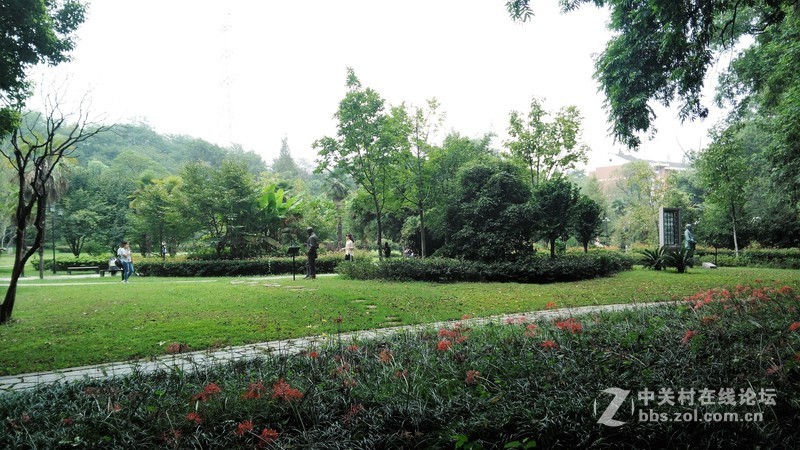 春分公园看荷花