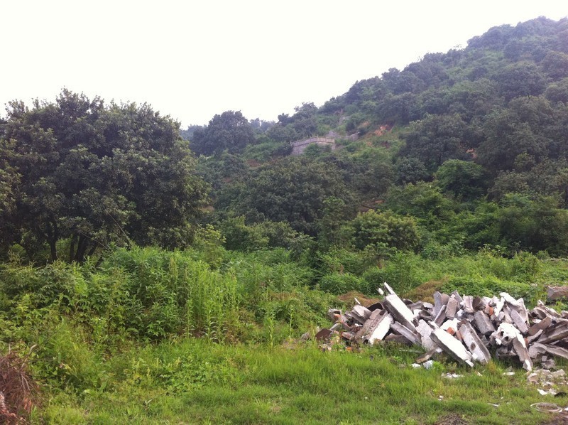 【分享】昨天下午去了趟杨梅山（还没熟）