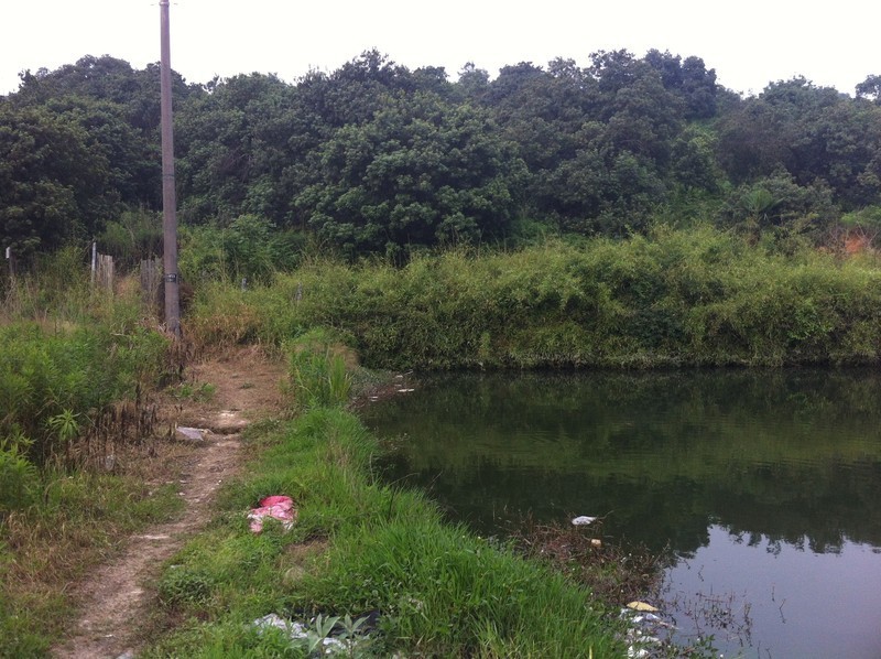 【分享】昨天下午去了趟杨梅山（还没熟）