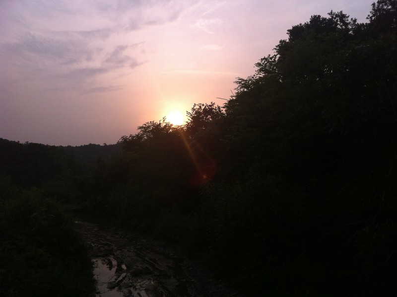 【分享】昨天下午去了趟杨梅山（还没熟）