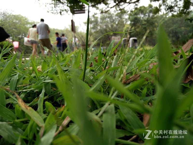 一加手机2(开箱)，让质感变为现实！