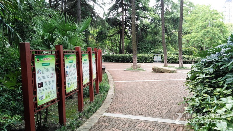 春分公园看荷花