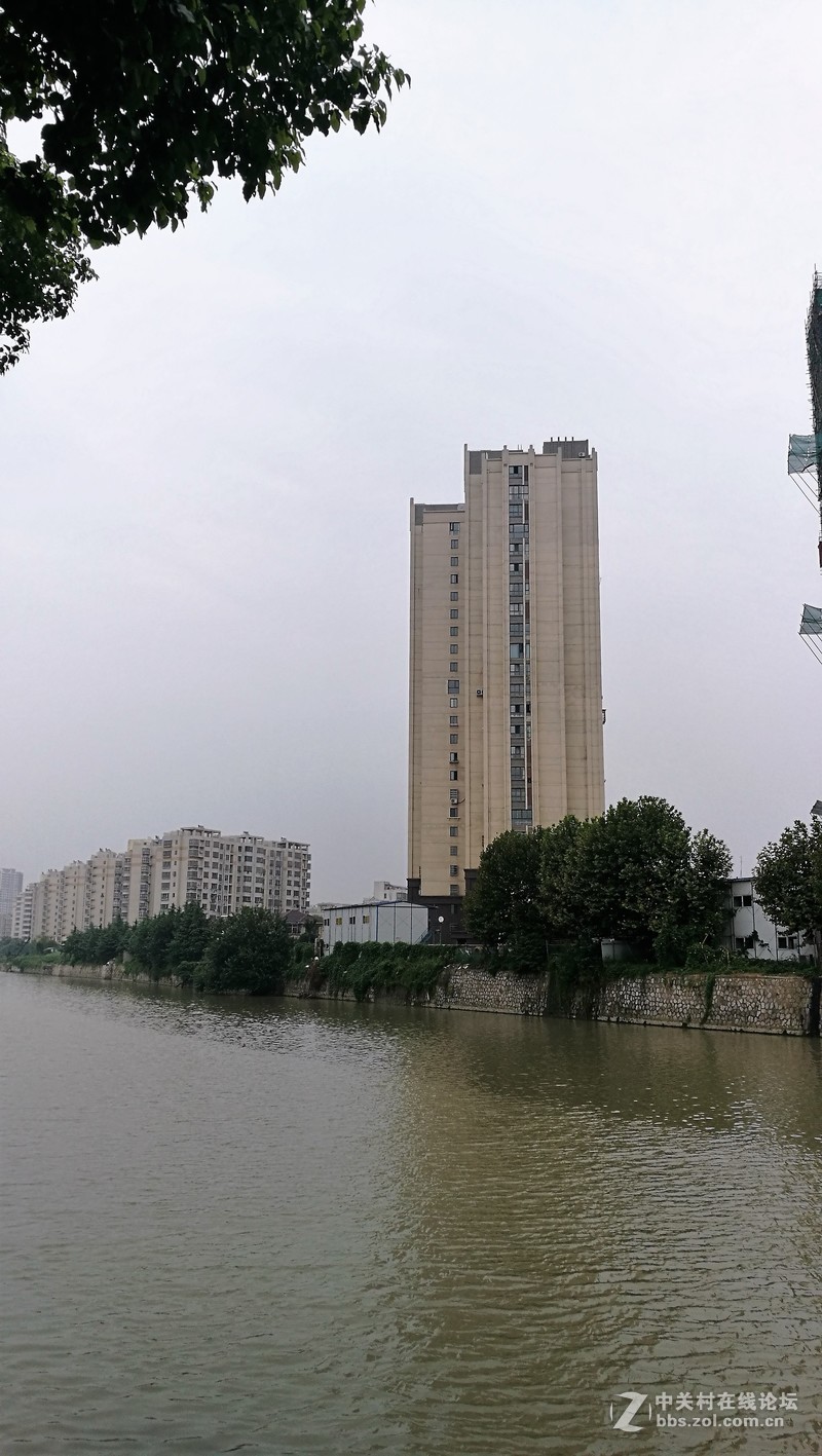 春分公园看荷花