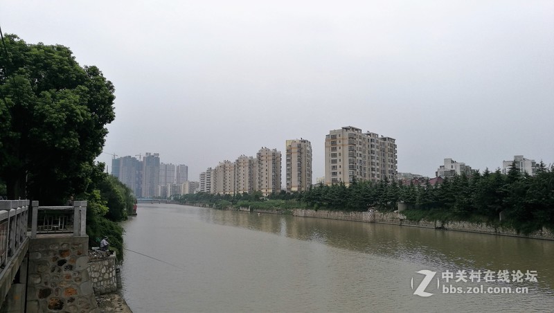 春分公园看荷花