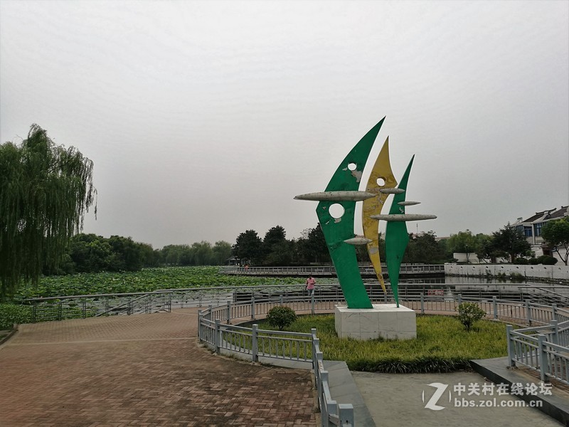 春分公园看荷花