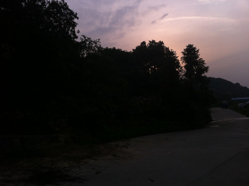 【分享】昨天下午去了趟杨梅山（还没熟）