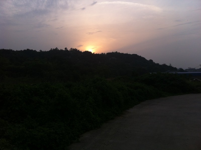 【分享】昨天下午去了趟杨梅山（还没熟）