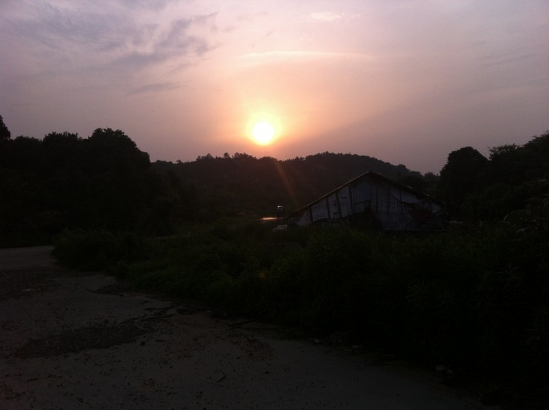 【分享】昨天下午去了趟杨梅山（还没熟）