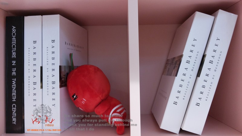 外拍拾遗 星空体育平台GT-i9082i