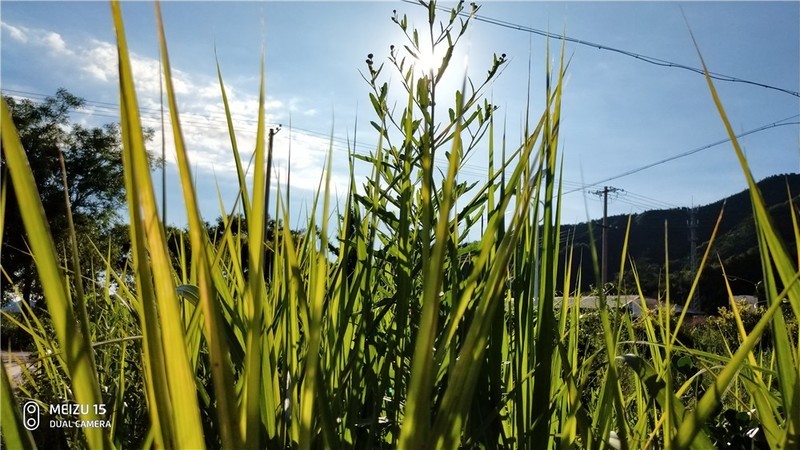 魅族16要来，魅族15体验依旧那么好继续入手体验