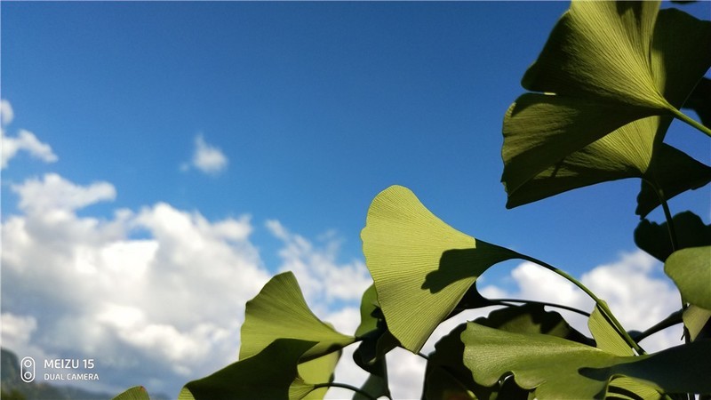 魅族16要来，魅族15体验依旧那么好继续入手体验