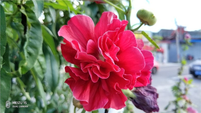 魅族16要来，魅族15体验依旧那么好继续入手体验