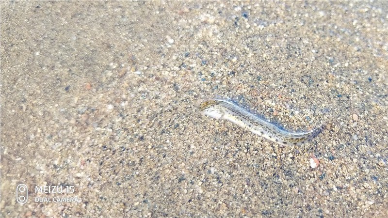 魅族16要来，魅族15体验依旧那么好继续入手体验