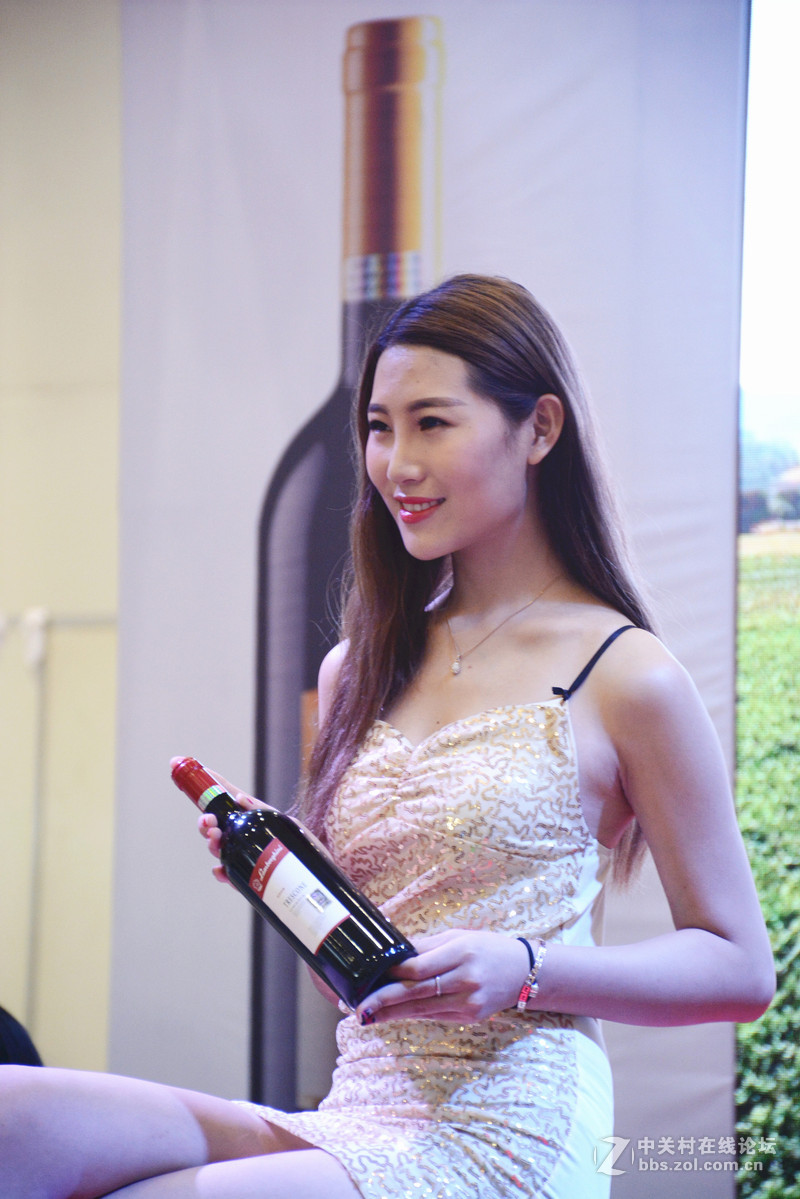 厦洽会葡萄酒展区靓模特