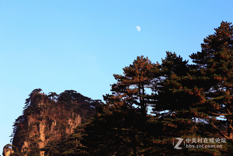 上黄山时缆车上拍到猴子观月新景。