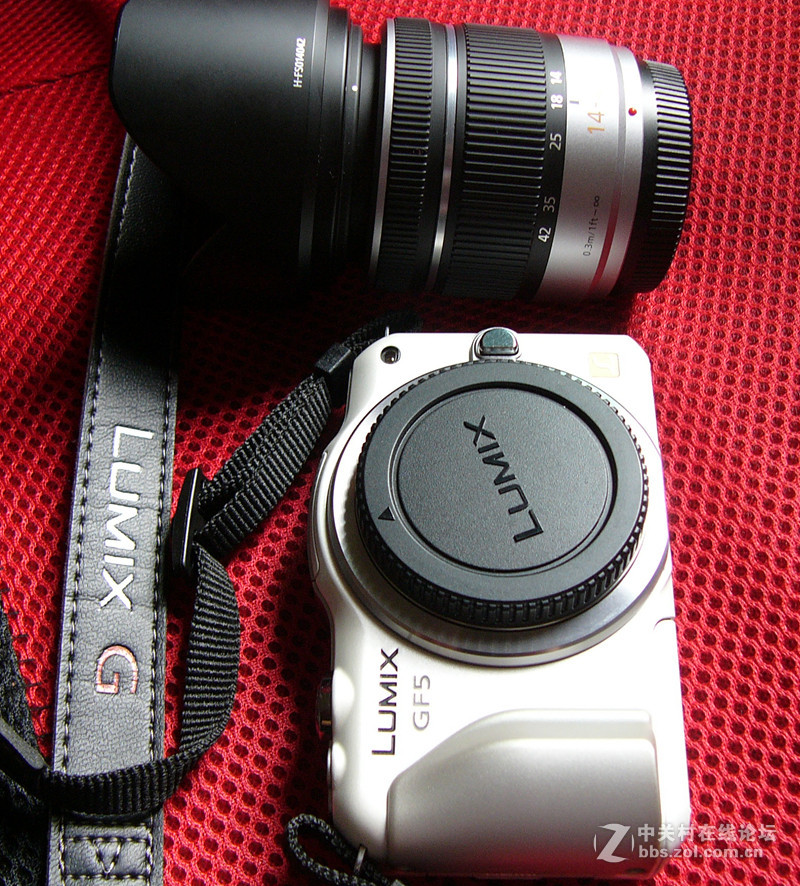 出一台99新松下GF5微单套机