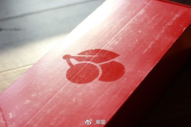 【單擺出品】办公文明用语-CHERRY MX 5.0