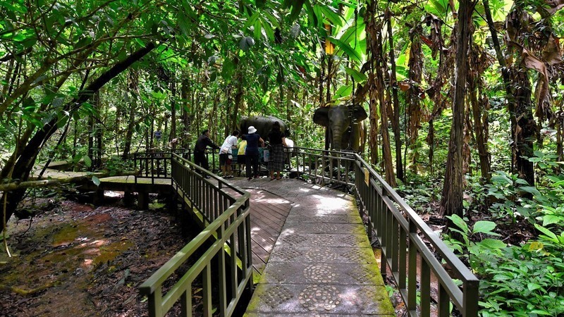 西双版纳热带雨林国家公园林中小道