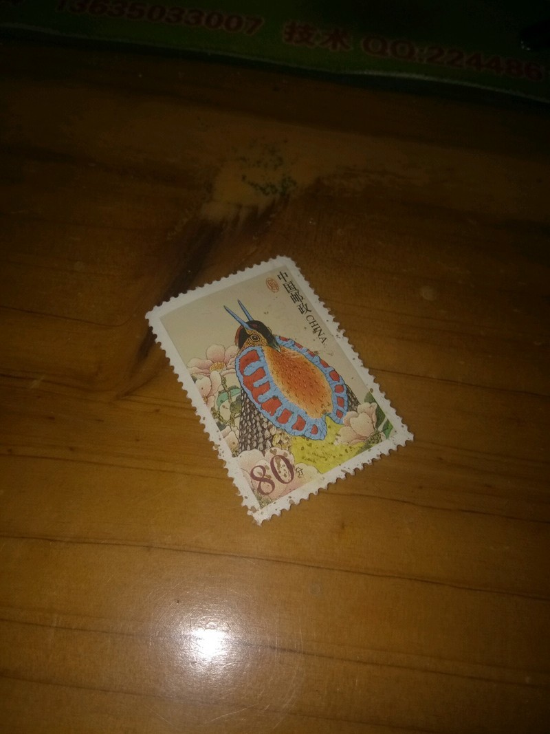 动物邮票