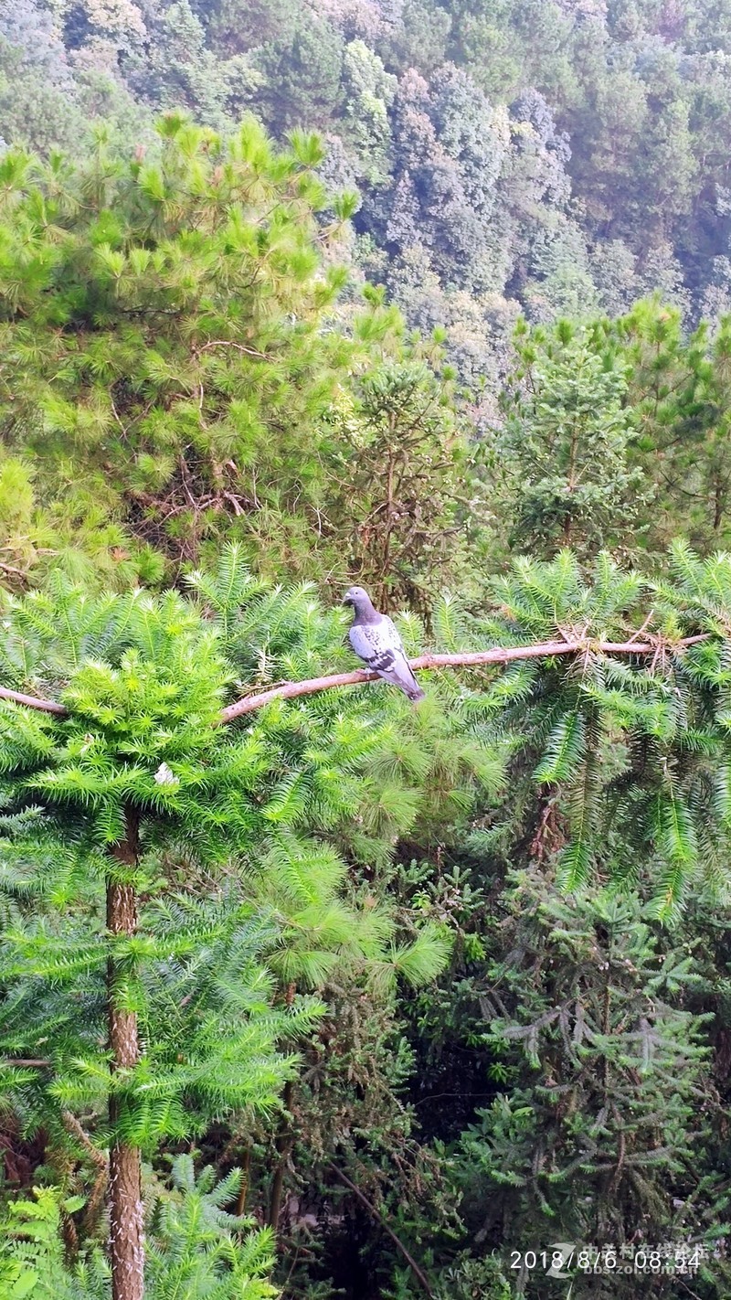 重庆南山壹华里小米8试拍