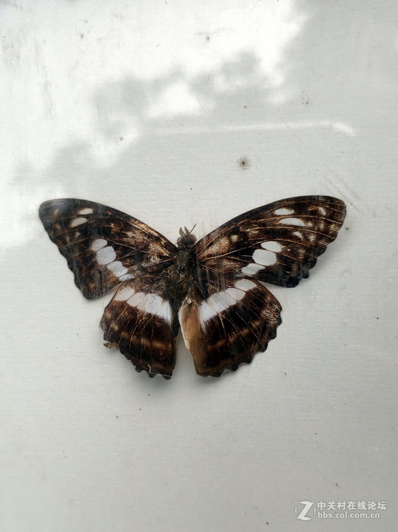 重庆南山壹华里小米8试拍