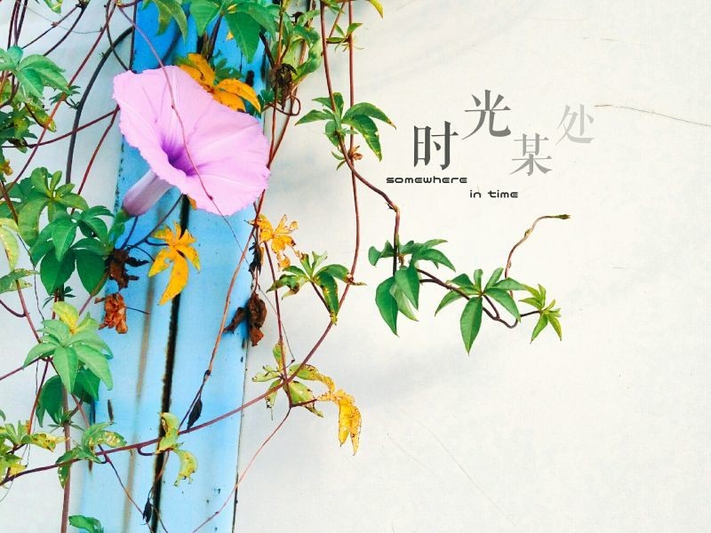 #秋日私语#