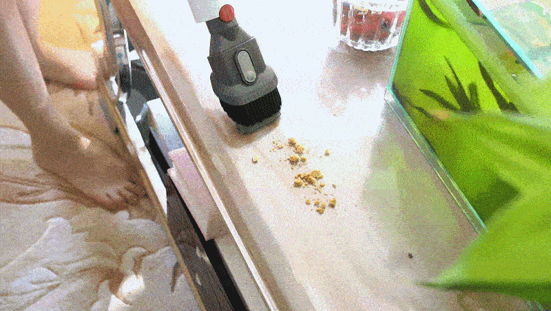 螨虫与妹子谁是最后赢家？戴森除螨仪手持吸尘器果断给出答案