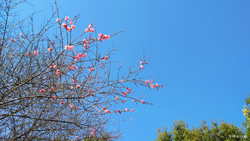 人间世。。。。。。。。红米3随手拍