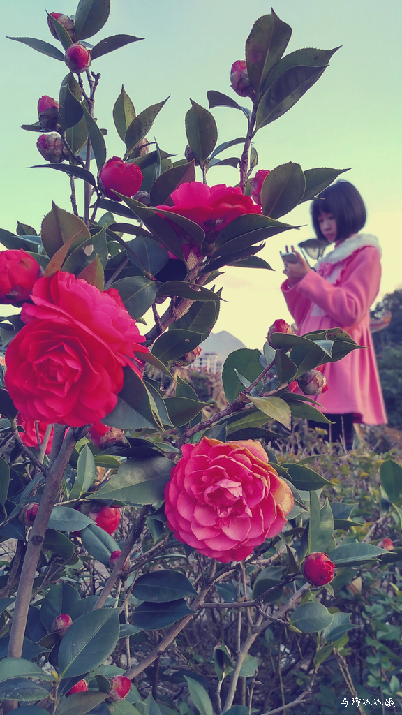 人间世。。。。。。。。红米3随手拍