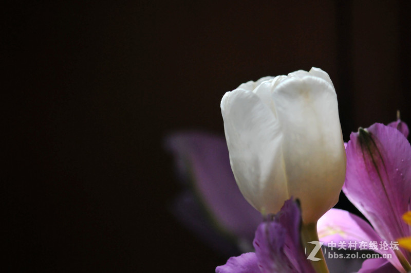 美不是任何东西中固有的，而是需要被发现的，被另一种观看方式发现