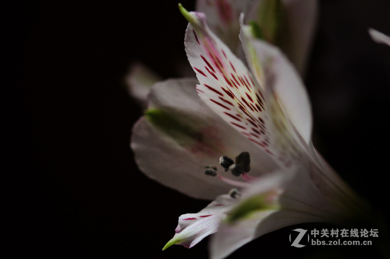 美不是任何东西中固有的，而是需要被发现的，被另一种观看方式发现