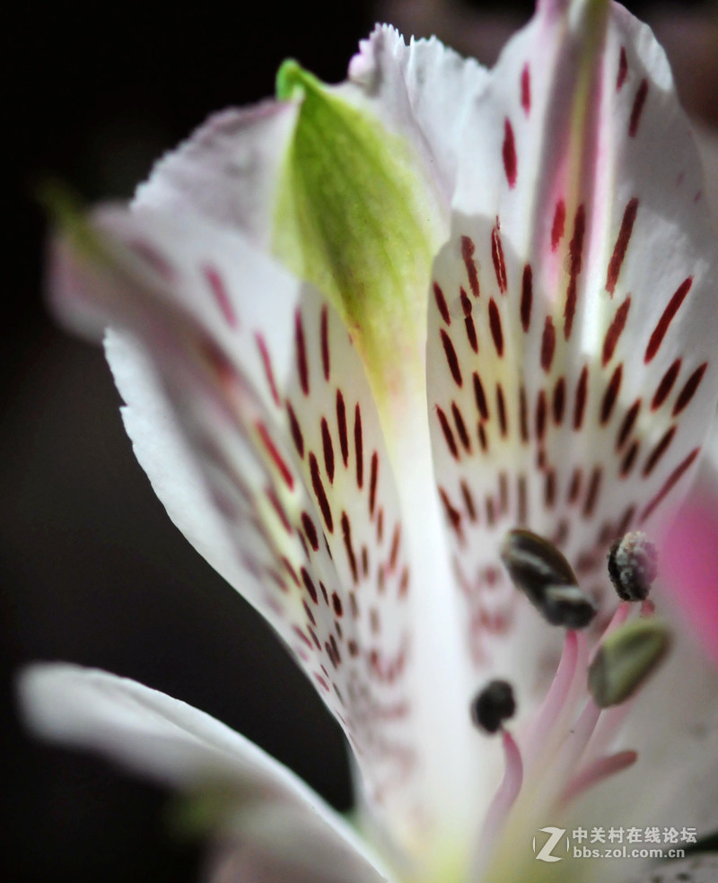 美不是任何东西中固有的，而是需要被发现的，被另一种观看方式发现