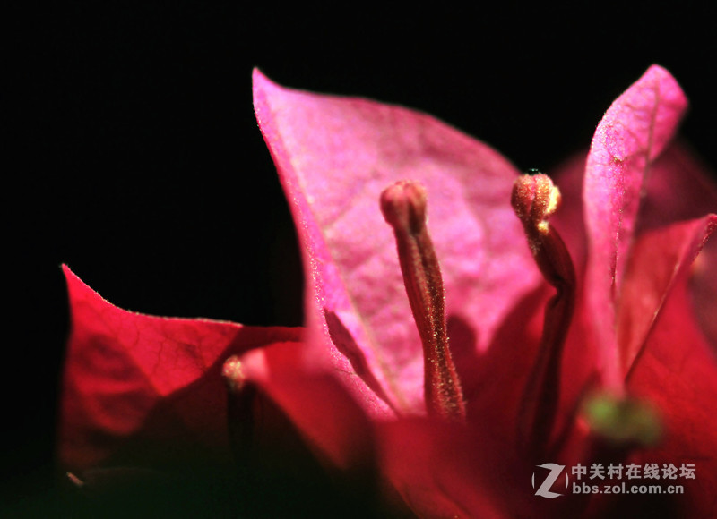 美不是任何东西中固有的，而是需要被发现的，被另一种观看方式发现