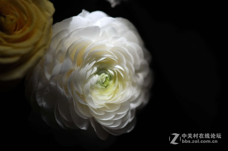 美不是任何东西中固有的，而是需要被发现的，被另一种观看方式发现