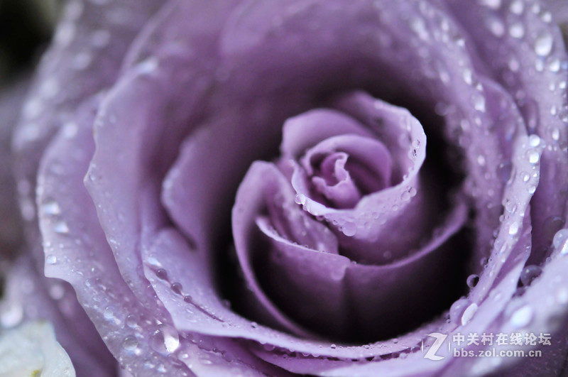 美不是任何东西中固有的，而是需要被发现的，被另一种观看方式发现