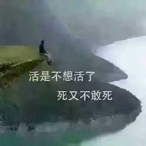 当一个人熬过了最艰难的时候， 就不想再去寻找任何依靠。 沉默不是因为词穷， 而是因