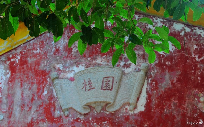 困于夏风，囿于明媚