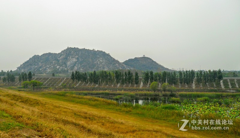 【商务手机】星空体育平台SCH-W699黄河雀山