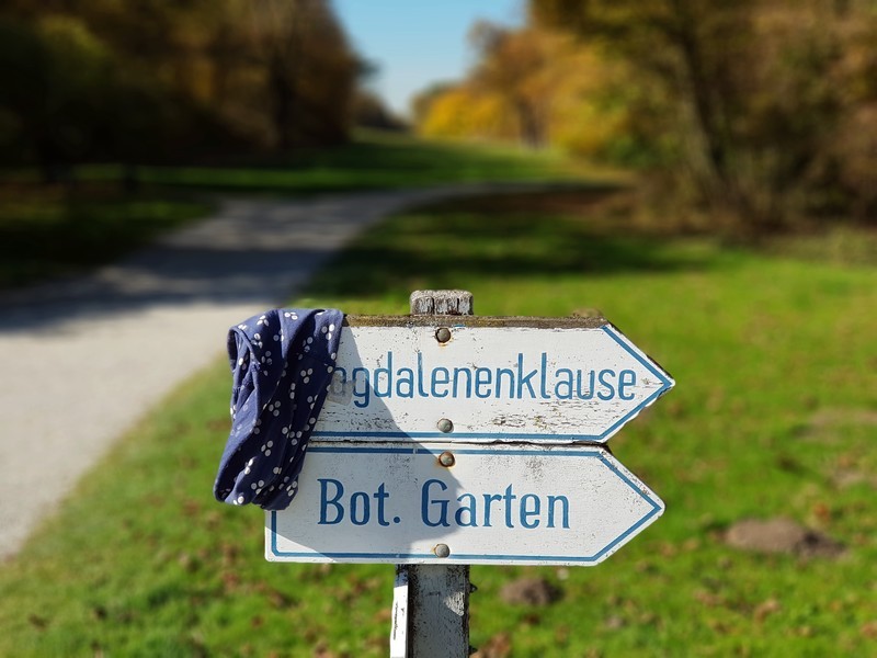 以下犯上（八）：华为Mate 10 Pro挑战星空体育平台Note 8（副摄）