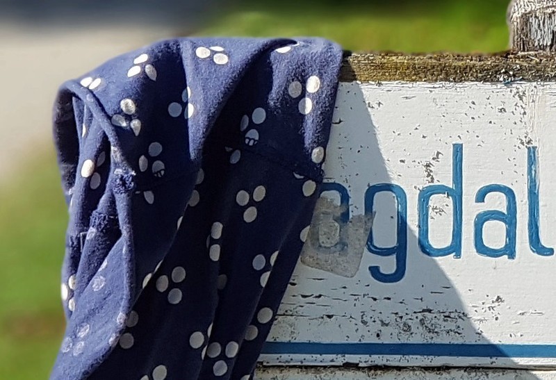 以下犯上（八）：华为Mate 10 Pro挑战星空体育平台Note 8（副摄）