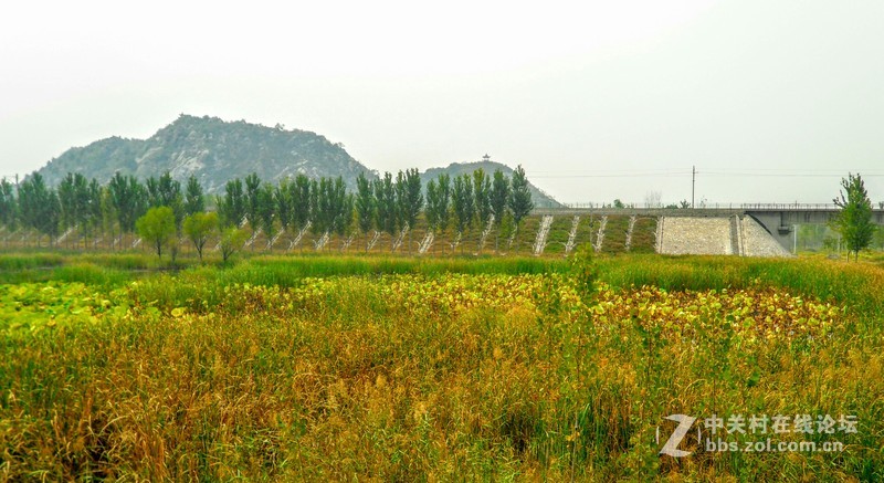 【商务手机】星空体育平台SCH-W699黄河雀山